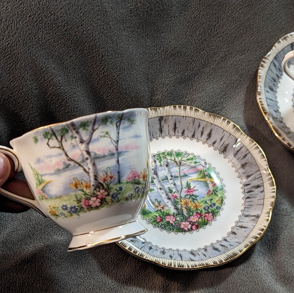 VINTAGE Royal Albert | Silver Birch | Tea Cup | 1975's | Beautiful Condition - Picture 6 of 10